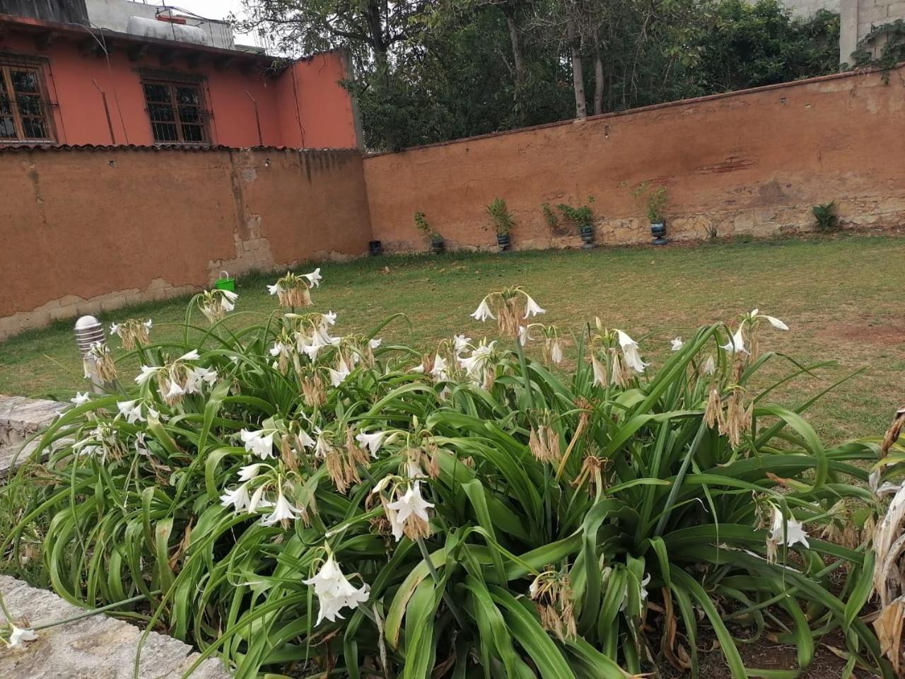 Hotel Tierra Maya San Cristóbal de Las Casas Esterno foto